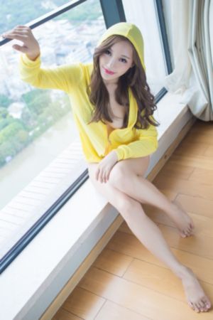 拉布拉多警长146集