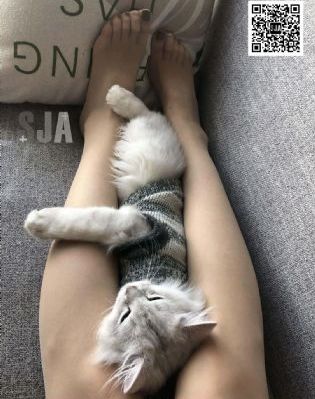 奔跑吧第十一季免费观看星辰影院