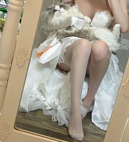芭比之三剑客