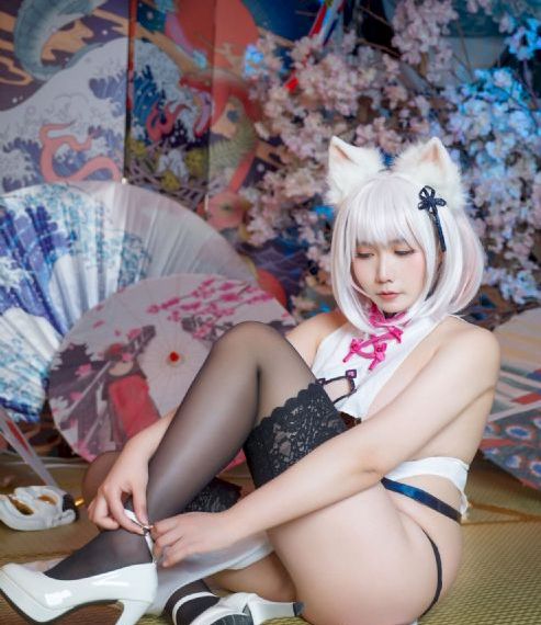 今天免费视频播放