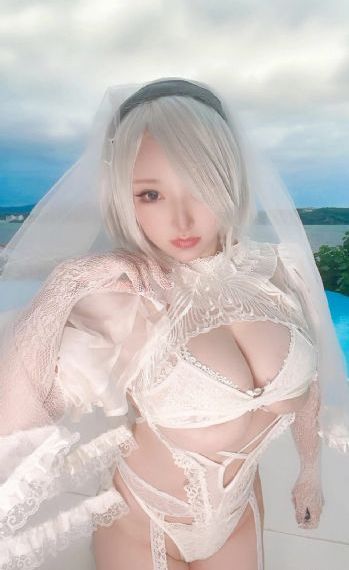 二分之一的夫妇