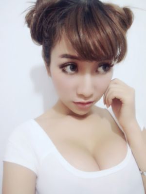 拉布拉多警长100集
