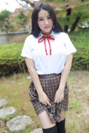 侵入者