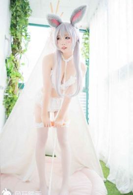 一道本道加勒比天天看