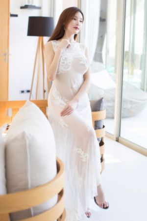 麻豆视频在线观看