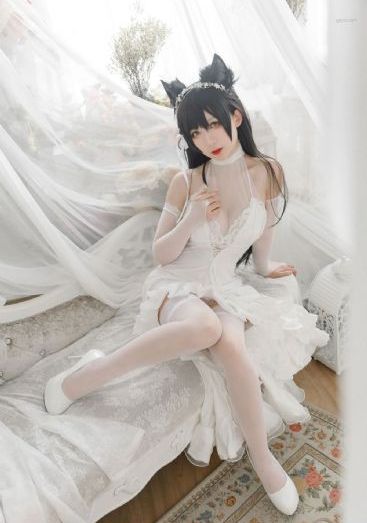 免费电影网