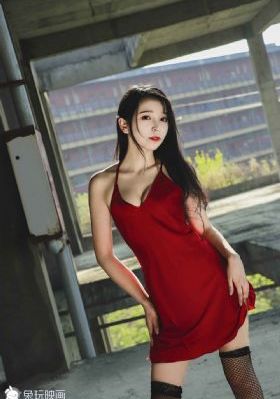 喜羊羊与灰太狼之羊村守护者9