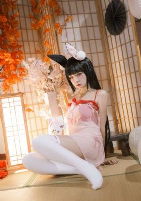 假面骑士甲斗王